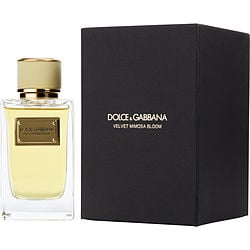 DOLCE & GABBANA VELVET MIMOSA BLOOM Eau De Parfum Spray 5 oz by Dolce & Gabbana