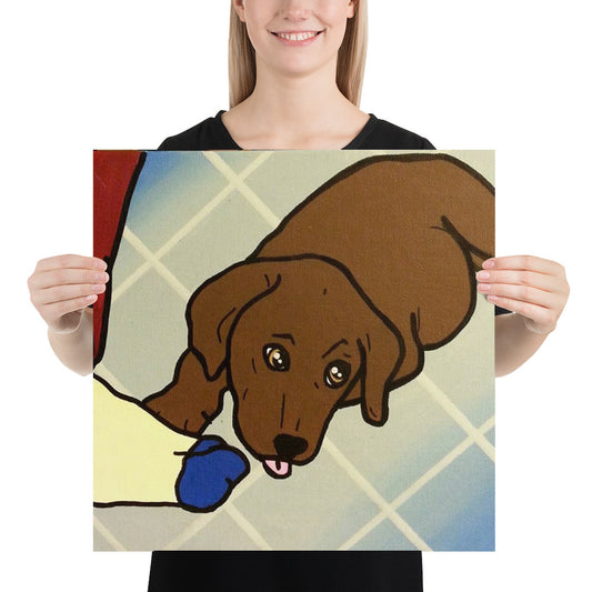 Poster - Chocolate Lab I Want that Sock